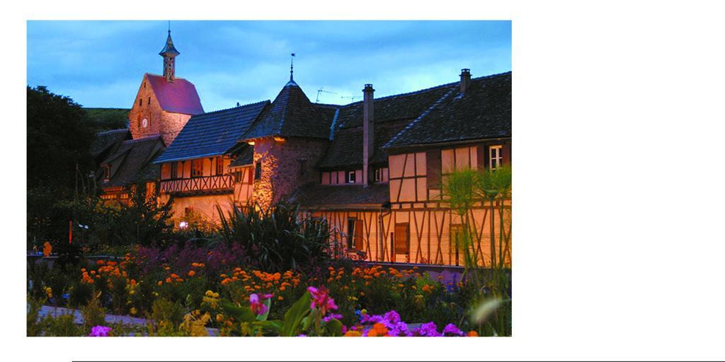 Chambres D'hotes Du Vignoble Riquewihr Extérieur photo